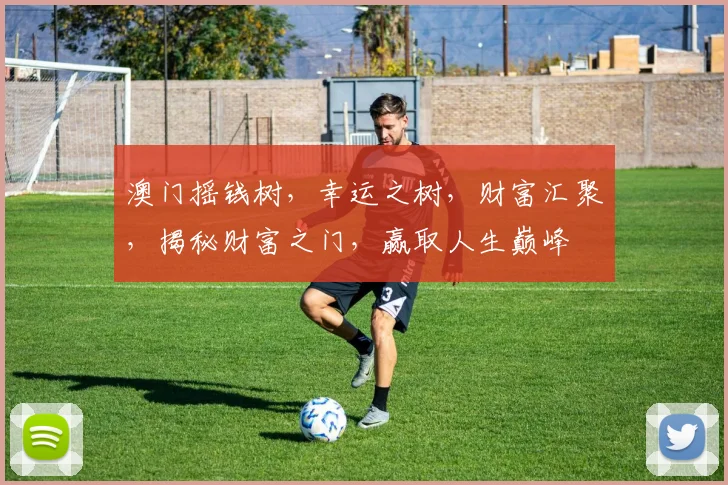 澳门摇钱树，幸运之树，财富汇聚，揭秘财富之门，赢取人生巅峰